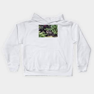 Birds in the Bush Kids Hoodie